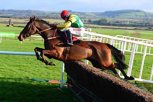 Shanahan's Turn in front at Punchestown 