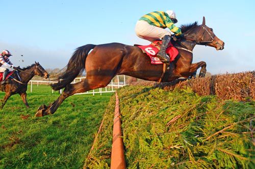 Sitcom, in the JP McManus colours, puts in a leap at Cork