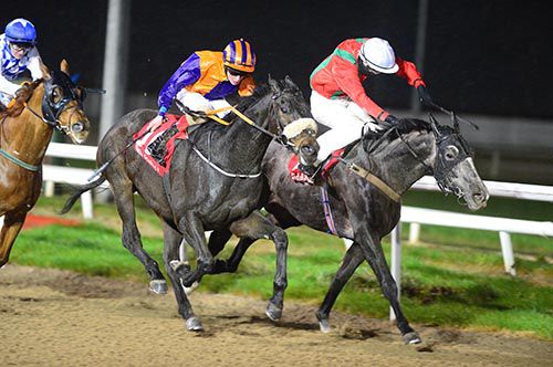 Innoko (Joseph O'Brien) gets the better of House Limit (nearside) with Doux Douce in behind