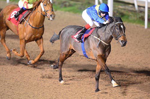 Strategic Heights and Fran Berry winning at Dundalk in November