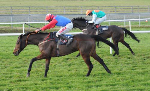 Budtairis (nearside) finishes well to beat Indian Fairy