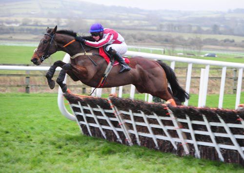 Indian Rupee and David Mullins clear the last in style