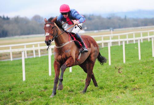 Hurry Henry and Davy Roche come home clear in the bumper
