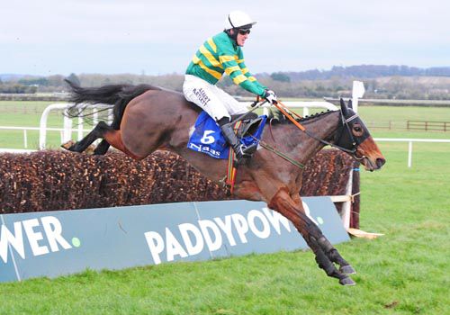 Whatwillwecallher and Tony McCoy sail to victory