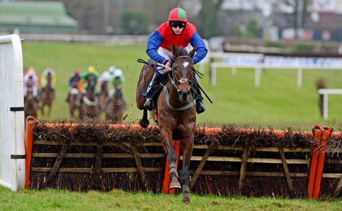 Zipporah and Ricky Doyle winning easily at Thurles earlier this month