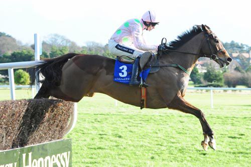 Vautour jumping the second last fence at Leopardstown