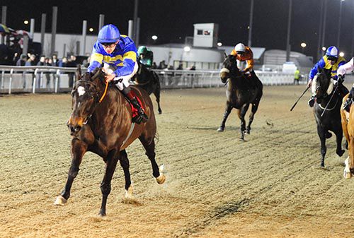 Sharjah and Donnacha O'Brien come home in front