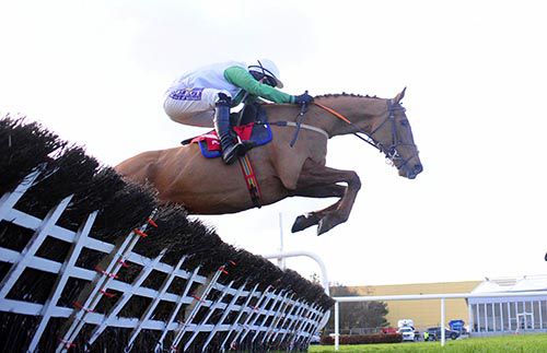 Bentelimar and Brian O'Connell clear the last at Punchestown on Sunday