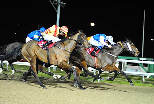 Shalaman and Chris Hayes hold on from Kevin Manning's fast finishing mount Whipper's Boy