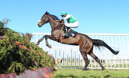 Perfect Promise pictured on her way to victory at Thurles earlier this year