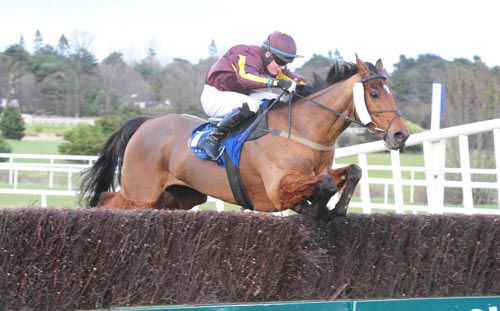 Do Be Doin' and Luke Dempsey jump the last