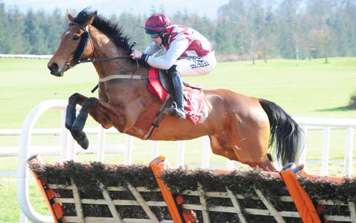 Another fine leap by Toushan under Roger Loughran