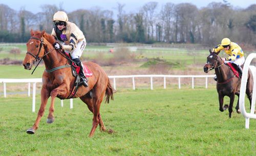 Yorkhill strides on under Patrick Mullins, to beat the Gerry Mangan-ridden Pause And Ponder