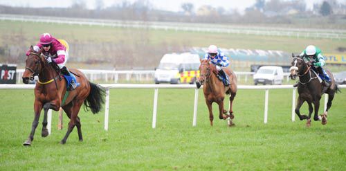 Ice Cold Soul dominates at Limerick