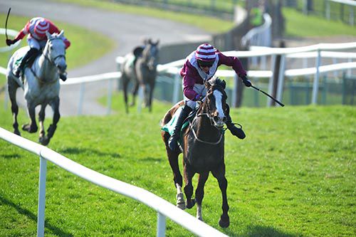 Feel The Air and Derek Fox are clear from Six Stone Ned and Ger Fox at Downpatrick