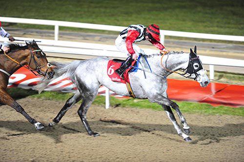 Dancingwithangels in winning form at Dundalk