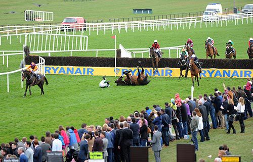 Ballyadam Approach in front as Dysios falls at the last