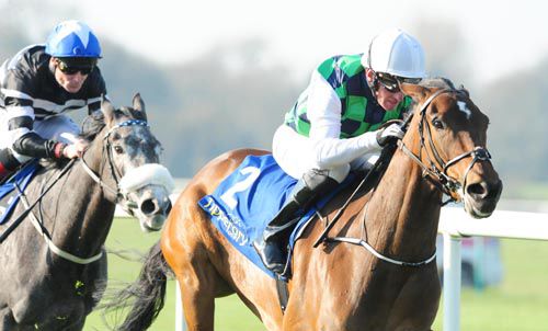 Diamondsandrubies pictured on her way to victory at Tipperary last month