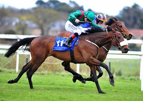 Zannda and Pat Smullen get the better of Wedding Vow and Ryan Moore