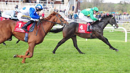 An Duine Uasal and Pat Smullen come home in front 