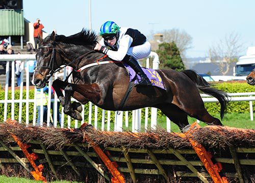 By The Banks puts in a super leap at Wexford