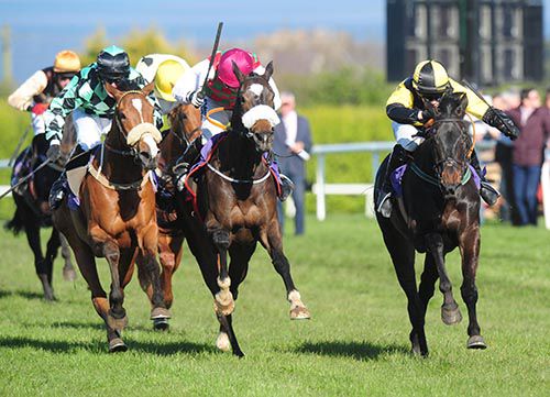 Tigroney, right, wins a thriller in Wexford