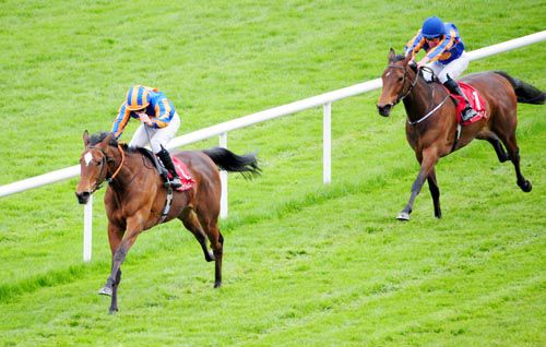 Wedding Vow seen here chasing Legatissimo home at Gowran