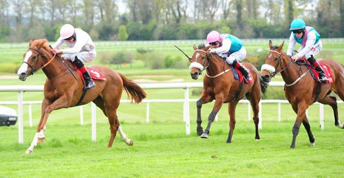 Hot Sauce (Connor King) winning her maiden at Gowran Park