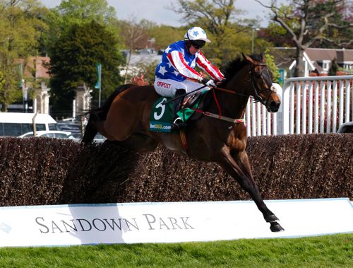 The Henry de Bromhead-trained Special Tiara