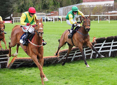 Bog War (right) hits the last as A Sizing Network leads