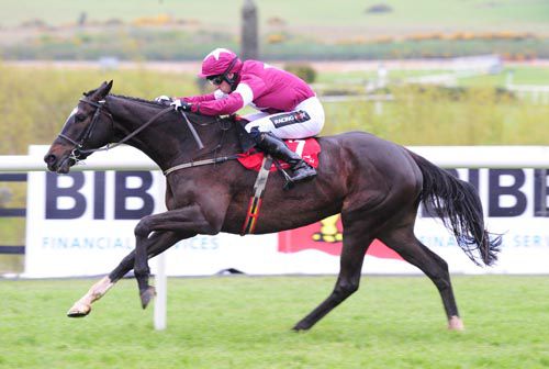 Nambour makes it a record-breaking week for Willie Mullins