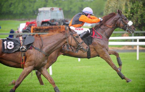 Louise Royale grabs the glory in Killarney