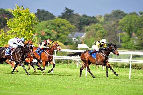 Ballybacka Queen keeps them at bay in Leopardstown