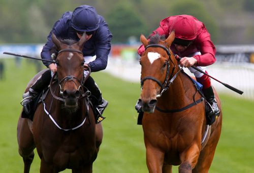 Star Of Seville (right) just holds off Together Forever