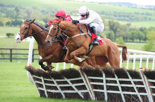 Limini, right, took the opener in Punchestown 