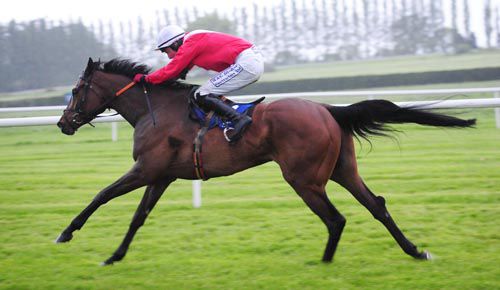Roconga and Declan Lavery stride away to victory