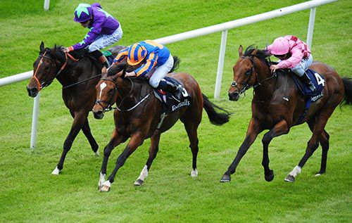 Gleneagles (centre) beats Endless Drama (right) and Ivawood in the Tattersalls Irish 2,000 Guineas
