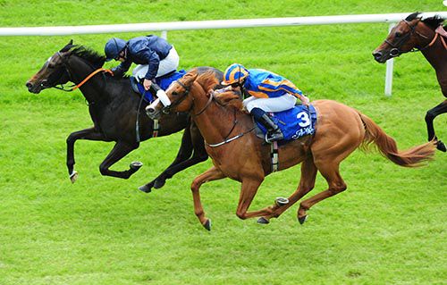Curvy, far side, is all out to win from Giovanni Canaletto