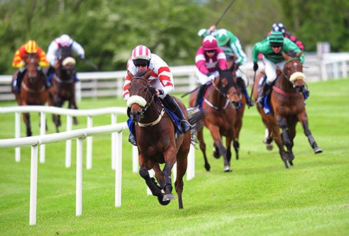 Mr Boss Man and Roger Loughran are clear at Ballinrobe