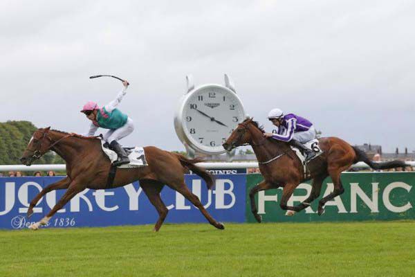 New Bay winning the French Derby