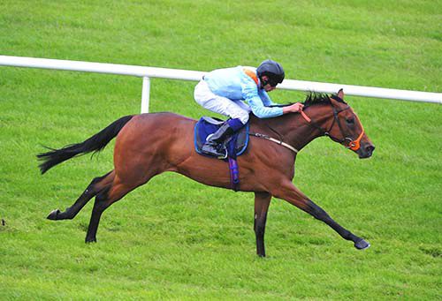 Great Page pictured on her way to victory at Naas