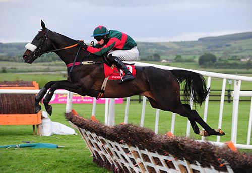Lucky Pat soars over the last in Punchestown