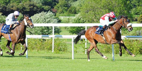 Long Journey Home strides clear under Connor King