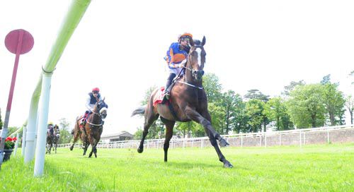 Air Vice Marshal pictured winning at Gowran last month