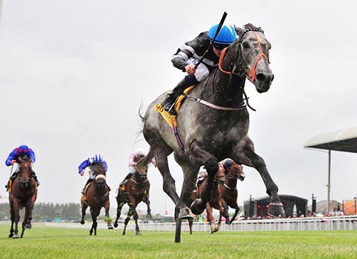 Sovereign Debt dominates in the Curragh