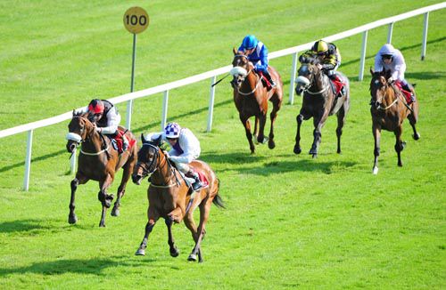 Turret Rocks wins from True Solitaire in Gowran Park