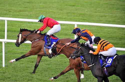 Alcock And Brown & Billy Lee hold off Social Climber & Pat Harkin