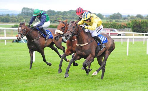 Westerner Lady and Patrick Mullins (yellow)