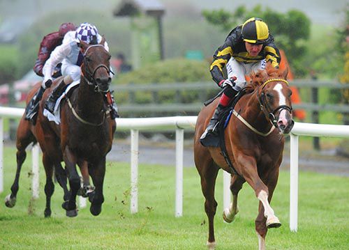 Foxtrot Charlie and Pat Smullen stride clear