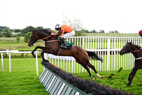 Show And Go and Andrew Lynch clear the last hurdle 